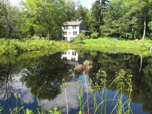Pond and house from far shore