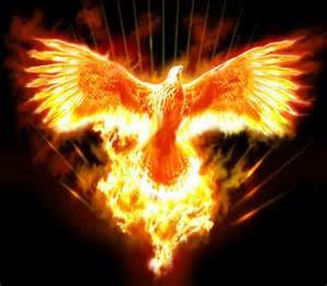 Phoenix rising