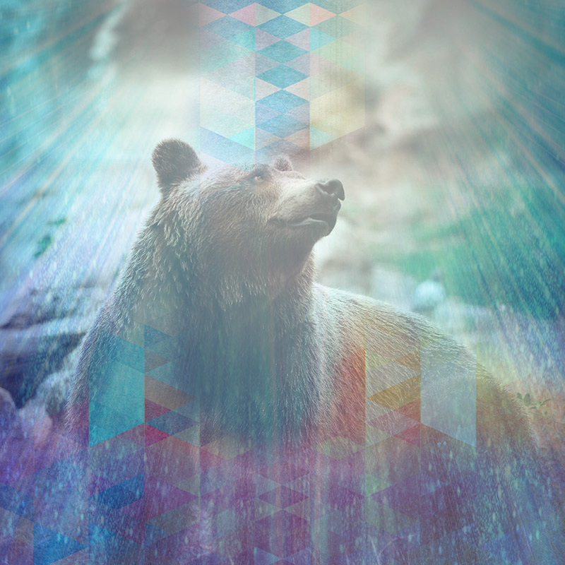 BearEMM