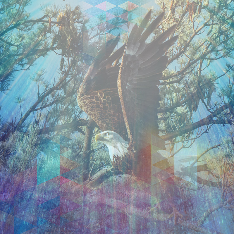 eagleEMM