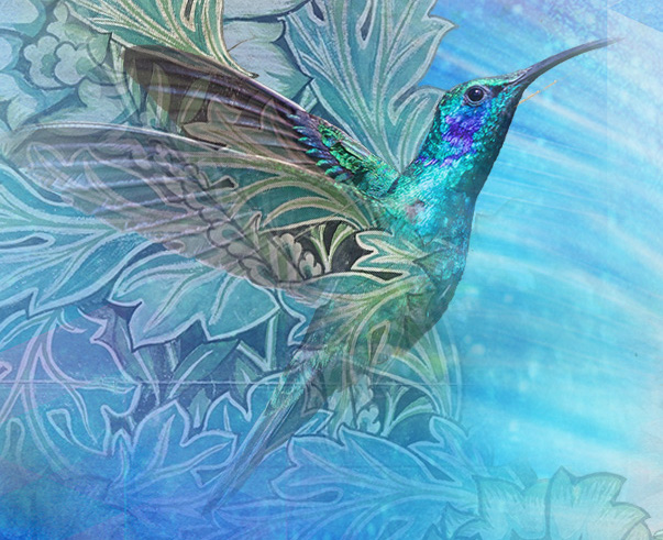 hummingbirdcrop short