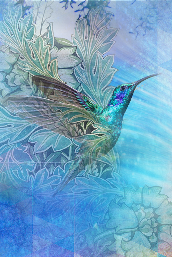 hummingbirdcrop