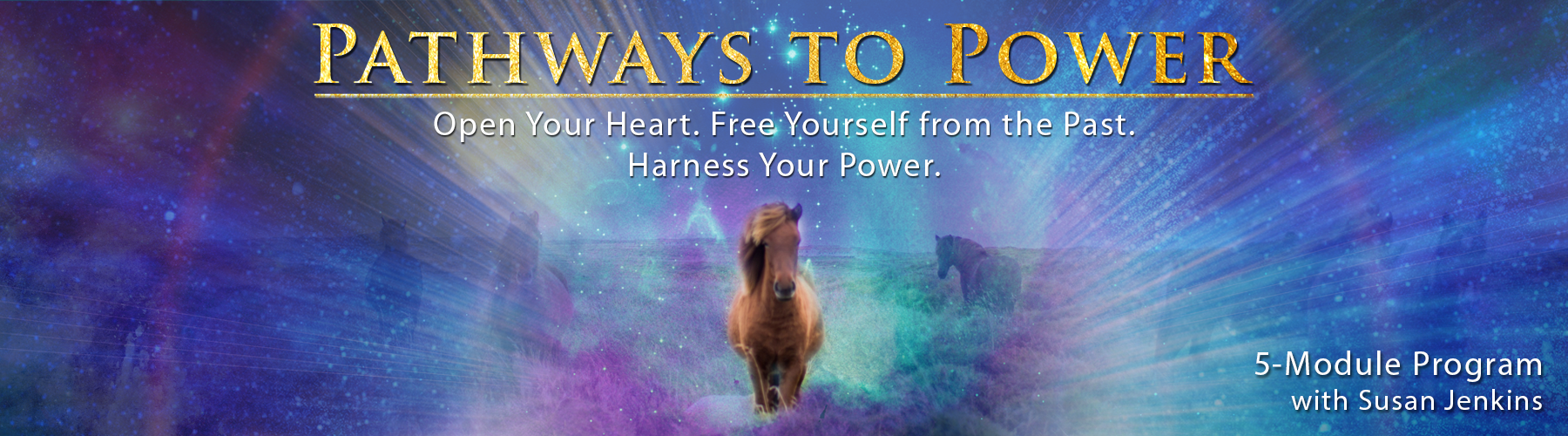 PathwaystoPowerProgramBanner